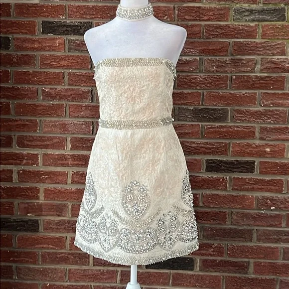Alice+Olivia■ie Embellished Strapless Dress & Choker■ Georgie Choker Strapless Gown In Champagne/multi | Alice +